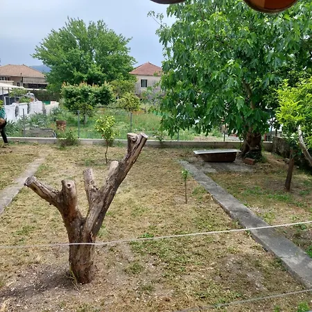 Yiayia's Tatil Evi