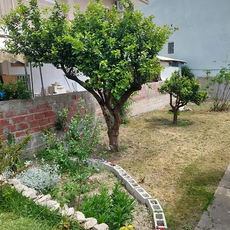 Yiayia's *